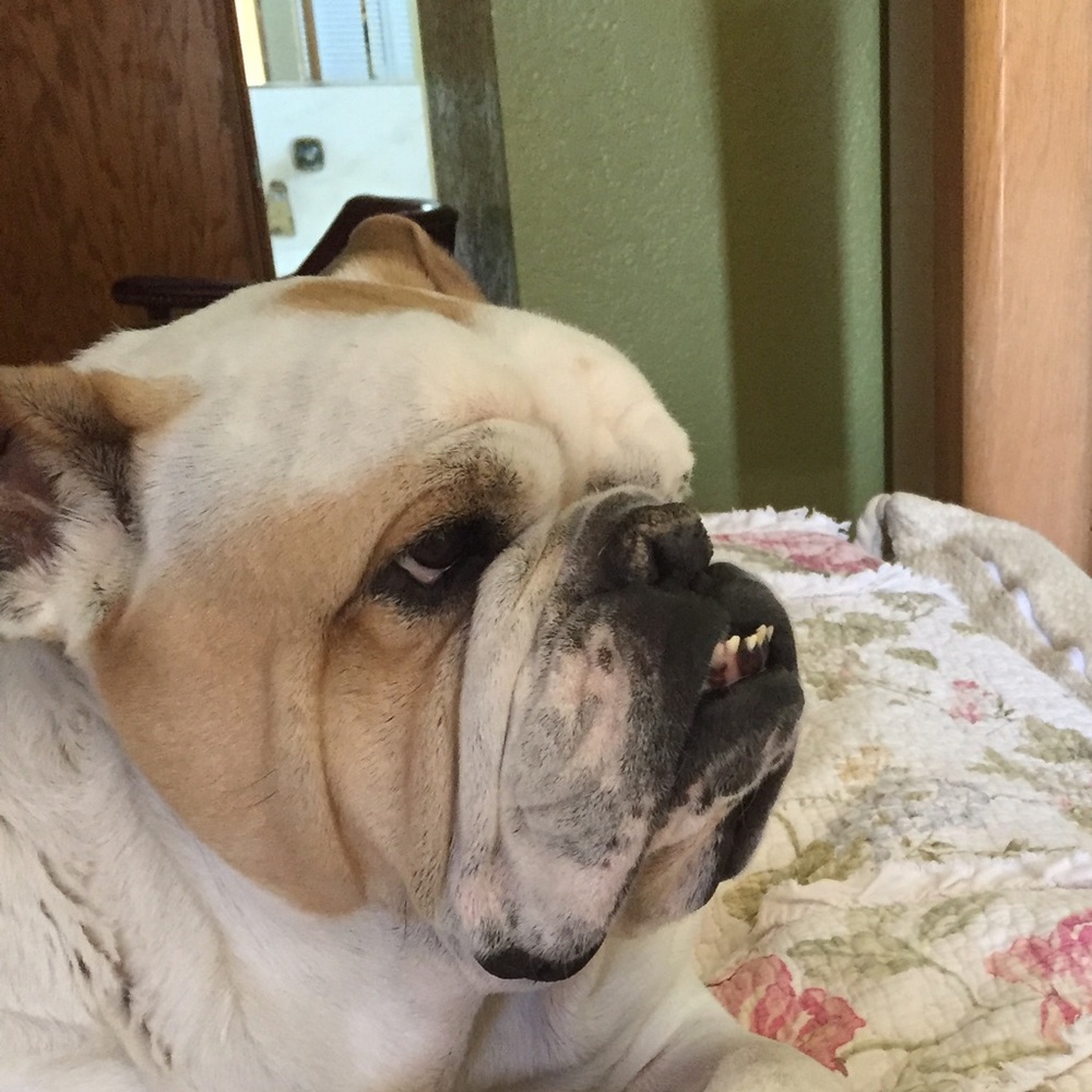 Meet your Posher, Martha